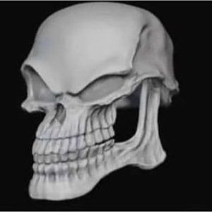 Meet your Posher, Edwardo